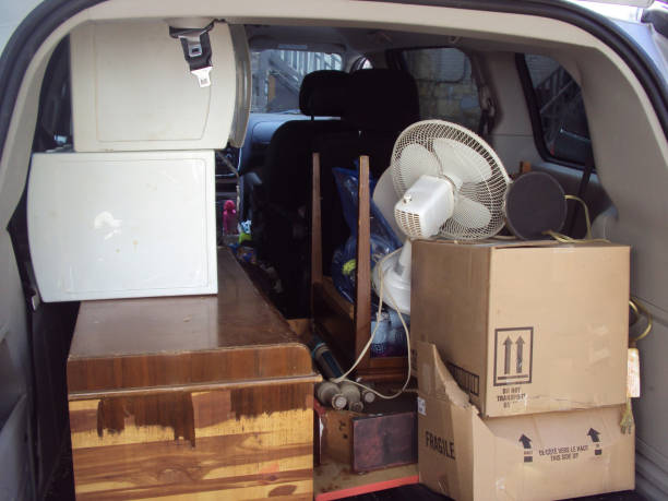 Best Hoarding Cleanup  in Lyndhurst, OH